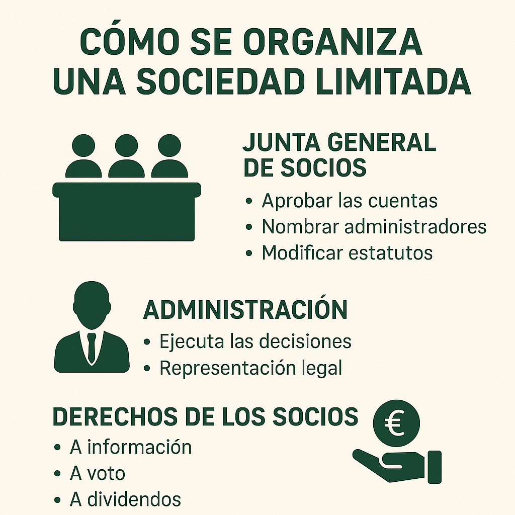 diferentes tipos de sociedades